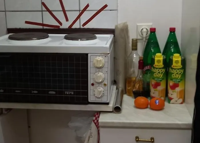 Zlatibor Apartman شقة *